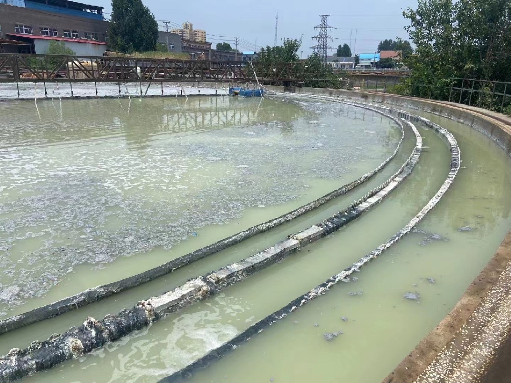 衢州造纸厂废水处理项目